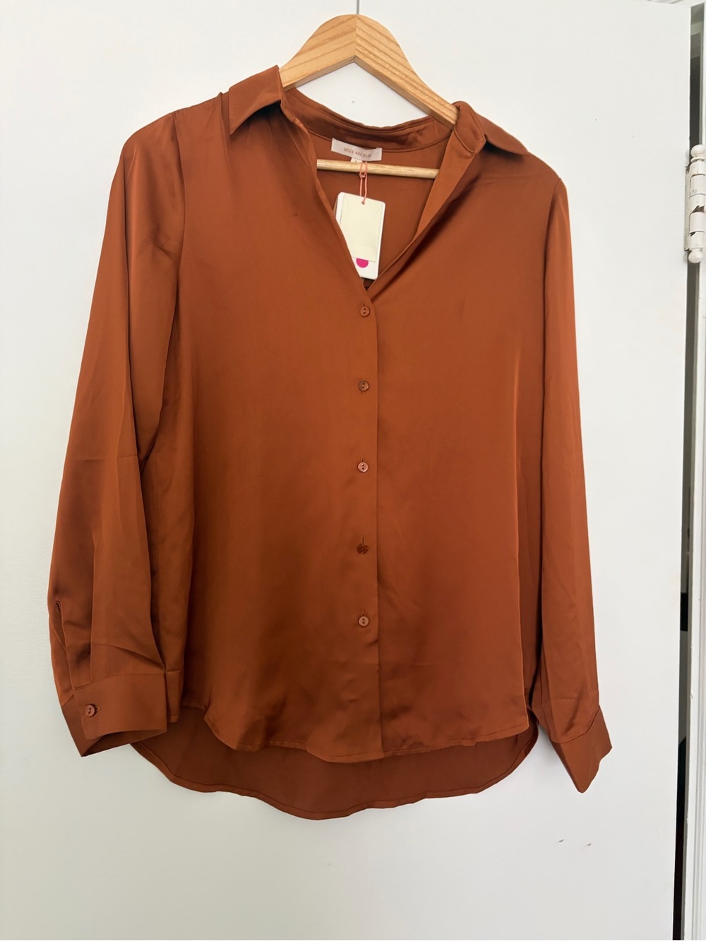 Skies Are Blue Rust Button-Front Blouse